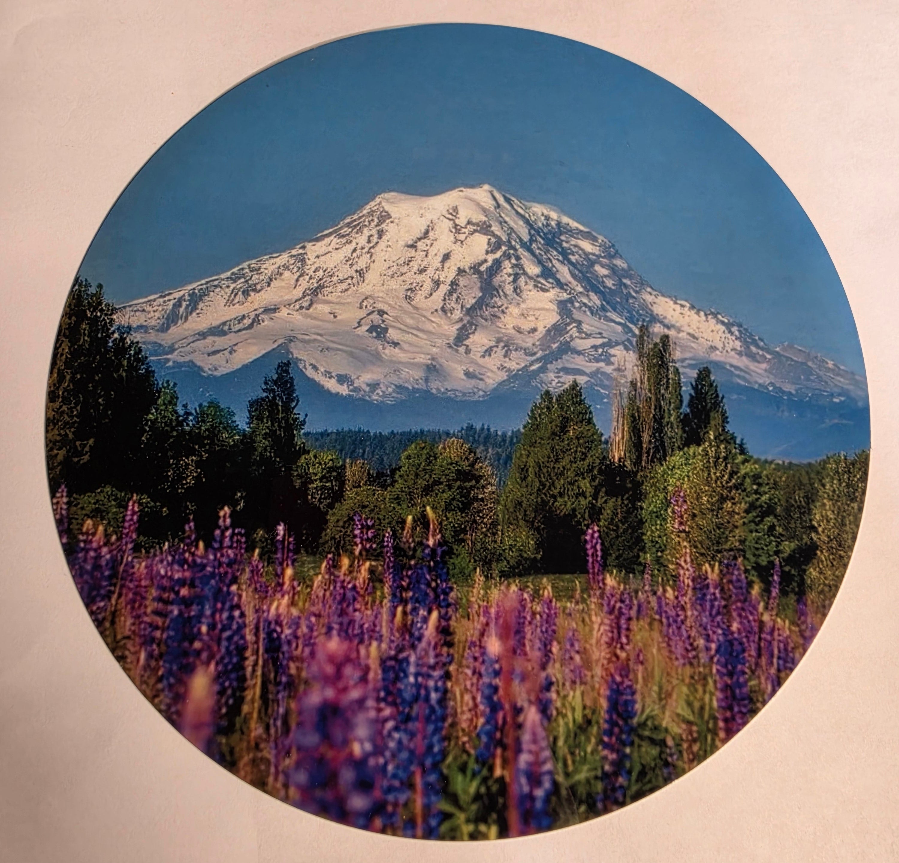 Mt. Rainer with flowers